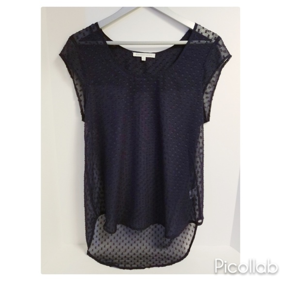 Tops - Daniel Rainn "Sheer Navy Polka Dot" Blouse